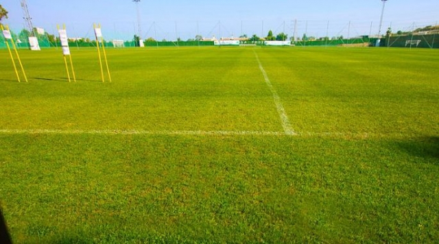  campo de futebol de grama 